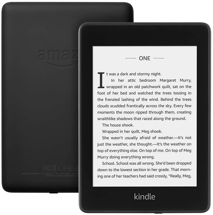 Kindle e-reader gift for book lovers. These are some of the best gifts every book lover or reader needs. Includes literary-themed ideas for readers